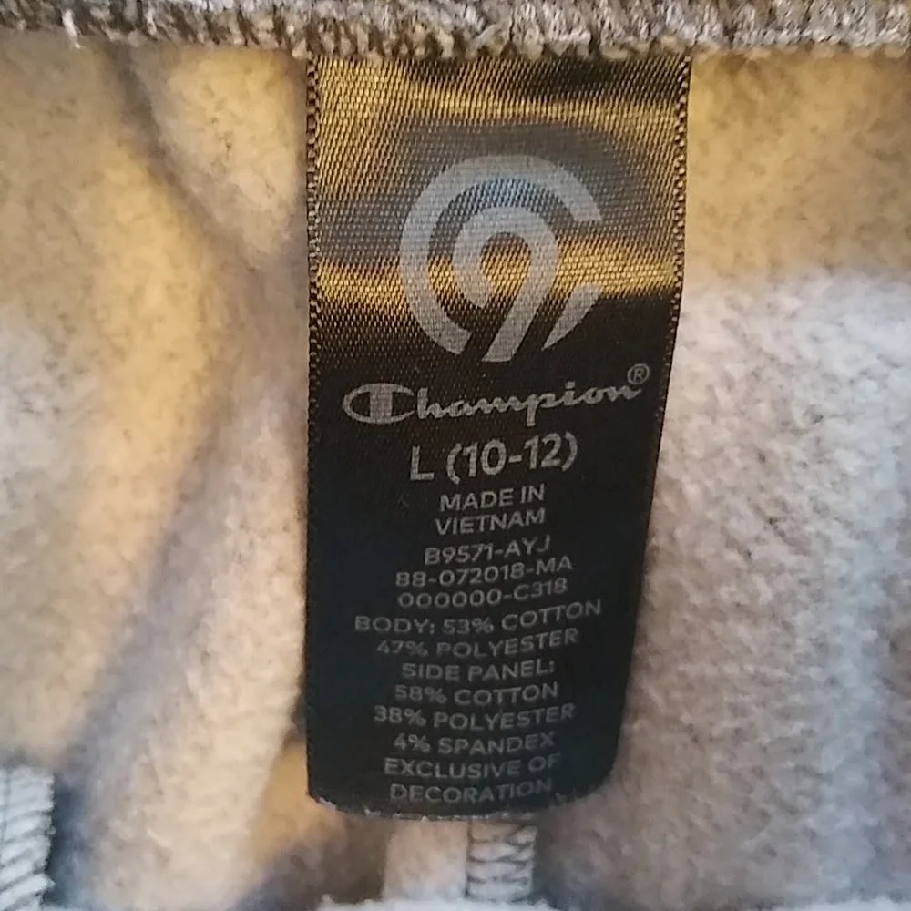 Boys bundle of Gymboree Tshirt size 10 & Champion Grey sweats joggers size 10/12 - Picture 2 of 10